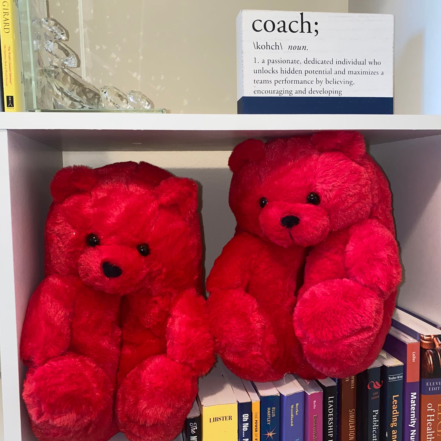 PLUSH TEDDY SLEEPERSđ§¸
