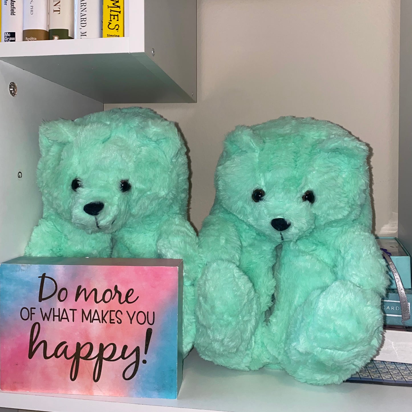 PLUSH TEDDY SLEEPERSđ§¸